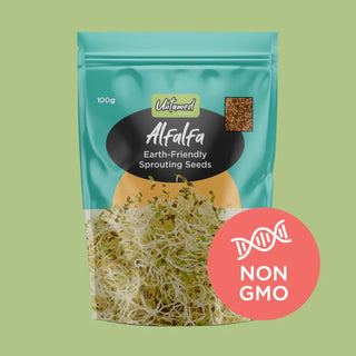 Alfalfa Sprouting Seeds - 100g
