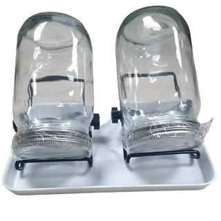 Micro-Greens Sprouting Jars - Now Only $39