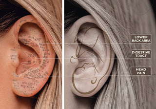 Ear Seeding