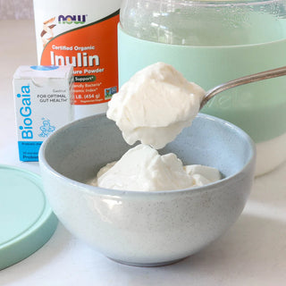 Lactobacillus Reuteri Yoghurt